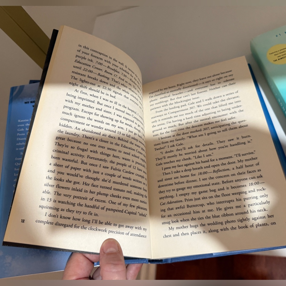 New: Mockingjay by Suzanne Collins + The Lovely Bones by Alice Sebold - Picture 4 of 6
